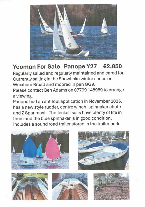Panope Y27 for Sale